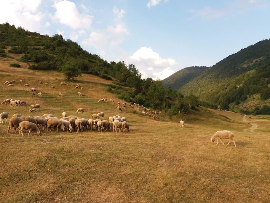 Villa Vrbena Buitenkant foto