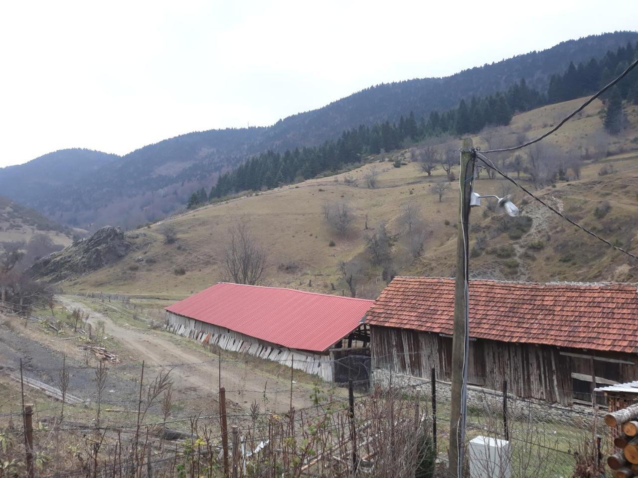 Villa Vrbena Buitenkant foto