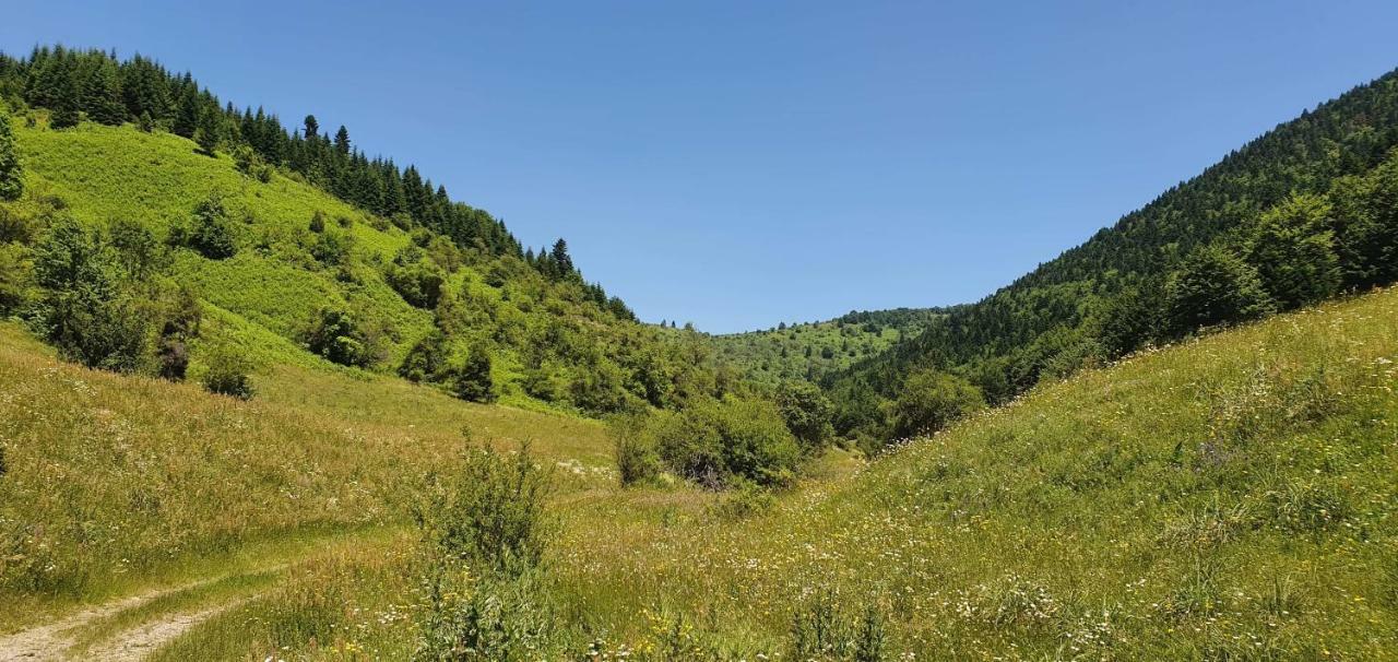 Villa Vrbena Buitenkant foto